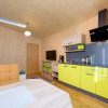 Отель Appartement - Vollholz Studio im Zentrum von Flachau, фото 11