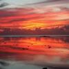 Отель Sunset Palms Rarotonga, фото 2