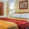 Отель Econo Lodge Dewitt I-90, фото 19
