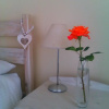 Отель Nells B&B, фото 7