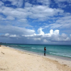 Отель Beautiful 2-bed Apartment in Sunny Jamaica, фото 23