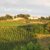 Отель Agriturismo Colleverde, фото 20