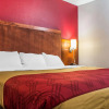 Отель Econo Lodge Brockport, фото 15
