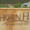 Отель Thorn Hill Vineyard Villas в оз. Клир