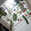 Отель Pearl Suites, фото 14