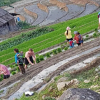 Отель Tavan View Homestay, фото 5