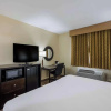 Отель Comfort Inn North, фото 4