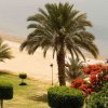 Отель Mercure Ismailia Forsan Island Hotel, фото 24
