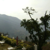 Отель Patnitop Heights, фото 13