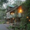 Отель Barrington Wilderness Cedar Lodge Accommodation, фото 10