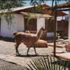 Отель Cabanas, Voyage Atacama, фото 5