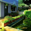 Отель Viva Fernleaf Resort, фото 4
