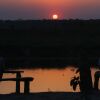 Отель Jungle Sunset Camp, фото 5