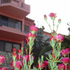 Отель Apartments Balaska, фото 1