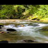Отель Smoky View Cottages & RV Resorts, фото 15