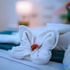 Отель Selectum Mangrove Resort, фото 20