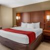 Отель Comfort Inn & Suites, фото 5