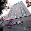 Отель Carpe Hotel, фото 1