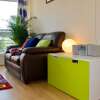 Отель Colourful And Spacious 2 Bedroom Leith Home, фото 9