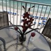 Отель Marisol Beachfront Resort 801 663663 by RedAwning, фото 14