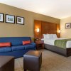 Отель Comfort Inn & Suites, фото 39