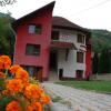 Отель Pensiunea Casa David, фото 6