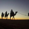 Отель Sahara Camels Camp, фото 7