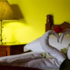 Отель Hostel Bem Te Vi, фото 9