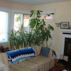 Отель Downtown Bed And Breakfast, фото 12