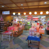 Отель Ooedo Onsen Monogatari Hotel Kinugawa Gyoen, фото 24