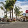 Отель San Jose Airport Inn, фото 9