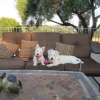 Отель Bella Villa Messina, фото 14