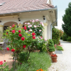 Отель Albergo Giardino, фото 22