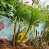 Отель Colourful 3BD Home With Garden in Southville, фото 1