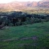 Отель The Crested Crane Bwindi, фото 15
