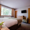 Отель The Golden Lion Hotel, фото 2