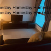 Отель Romantic Staycation In City (Netflix + Sanitize) 5, фото 2