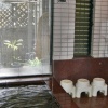 Отель Hinode Ryokan, фото 7