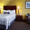 Отель Best Western Plus Executive Inn, фото 7