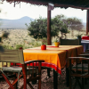 Отель Cheetah Tented Camp, фото 4