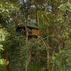 Отель Ela Ecoland Munnar - A Nature Retreat, фото 19