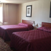 Отель Loyalty Inn Pasco, фото 3