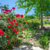 Отель Dora's Tsilivi Beach House A, фото 15
