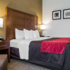 Отель Comfort Inn Glenmont - Albany South, фото 3