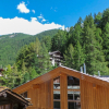 Отель Sonnheim Zermatt in Zermatt, фото 9