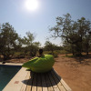 Отель The Baobab Bush Lodge, фото 13