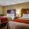 Отель Comfort Inn Joliet, фото 5