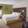 Отель Holiday Inn Express & Suites Asheville SW - Outlet Ctr Area, фото 5