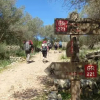 Отель Casas Alquiler Tramuntana, фото 1