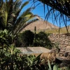 Отель Villa Palmeras Canarias, фото 10